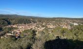 Tocht Stappen Barjols - Barjols - petit Bessillon - Photo 13