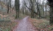 Trail Walking Rochefort - Han sur Lesse 21,4. Km - Photo 11