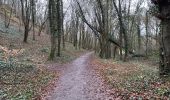 Tour Wandern Rochefort - Han sur Lesse 21,4. Km - Photo 11