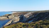 Randonnée Marche Crozon - La randonnée du cap de la Chèvre  - Photo 3