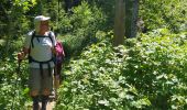 Trail Walking Saint-Christophe-sur-Guiers - 20220703 petit som - Photo 2