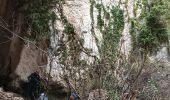 Trail Walking La Roquebrussanne - La Loube 28-02-2024 - Photo 1
