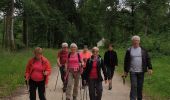 Tour Wandern Arc-en-Barrois - Rando Arc en Barrois 52 - Photo 8