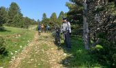 Randonnée Vélo électrique Saint-Agnan-en-Vercors - Traversée u Vercors  - Photo 11