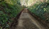 Tocht Stappen Lennik - Château de Gasbeek - Photo 1