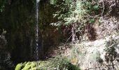 Trail Walking Eysson - Eysson Moulin de Creuse 1 août 2019 CAF - Photo 5