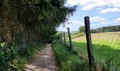 Trail Walking Houffalize - Promenade des crêtes - Photo 11