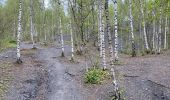 Tour Wandern Condé-sur-l'Escaut - Condé sur l’Escaut 15,4 km - Photo 10