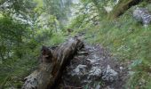 Tour Wandern Châtillon-en-Diois - Circuit des Baumes - Pont de vachères-Soubreroche - Boulc - Photo 19