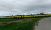 Tour Wandern Saint-Pierre-des-Fleurs - 20240409-StPierre des Fleurs Cool - Photo 17