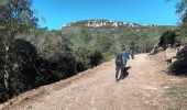 Tour Wandern Cuers - pilon St Clément-06-03-2024 - Photo 1