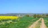 Trail Walking Saint-Quintin-sur-Sioule - St_Quintin_Source_Charponne - Photo 1