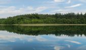 Tour Zu Fuß Feldberger Seenlandschaft - Rundwanderweg Brauner Specht - Photo 7