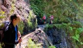 Tocht Stappen Ribeira da Janela - Levada  - Photo 2