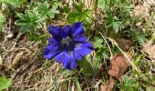 Trail Walking Revel - Lac du Crozet - Photo 15
