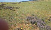 Excursión Senderismo Valensole - La chapelle Ste Marguerite, à gauche au 4 chemins. Vatiante - Photo 2