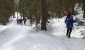 Tocht Sneeuwschoenen Divonne-les-Bains - La Dole alt 1676m en raquette - Photo 11