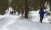 Randonnée Raquettes à neige Divonne-les-Bains - La Dole alt 1676m en raquette - Photo 11