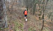Trail Walking Rochefort - Han sur Lesse 21,4. Km - Photo 10