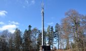 Tour Zu Fuß Gomadingen - Querweg - Oberdigisheim - Weg Nr. 1 - Oberdigisheim - Baienberg - bis zur Weggabelung - Photo 7