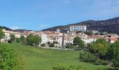 Tocht Te voet Cipières - Plateau de Calern - Photo 2