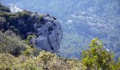 Trail Walking La Valette-du-Var - SityTrail - Boucle: Ripelle - Source Ripelle - Tourris - Grottes de sables - Carrière aux fourmis - Ruines des olivières - Touravelle - Ripelle - Photo 14