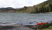 Percorso A piedi Sconosciuto - Castlewellan Forest Park - Slievenaslat Walk - Photo 1