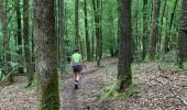 Trail Walking Vresse-sur-Semois - Alle-Frahan-Poupehan en terug - Photo 3