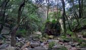 Excursión Senderismo Bagnols-en-Forêt - Gorges du Blavet au col de la pierre du coucou - Photo 1