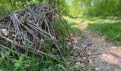 Trail Walking Ormoy-le-Davien - 030422 - Direction Vaucienne puis Vaumoise et Cave du diable - Photo 4