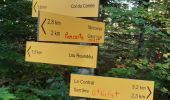 Excursión Senderismo Beaumont-du-Ventoux - le mont serein par le pré saint Michel et la bergerie Wilfrid - Photo 3