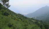 Percorso A piedi Esino Lario - Cainallo - Rifugio Bietti - Photo 6