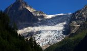 Randonnée A pied Trient - Sentier des Alpages - Photo 9