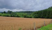 Trail Walking Bouillon - boucle  aventure  - Photo 14
