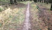 Trail Walking Sprimont - Tour de bois d'arlon  a Banneux 9Km  - Photo 7