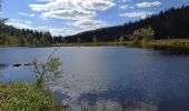 Tour Mountainbike Gerdsee - Gérardmer Le Honneck - Photo 1