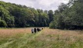 Excursión Marcha nórdica Doische - Vodelee 17 06 24 - Photo 1