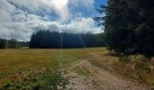 Excursión Senderismo La Chaise-Dieu - Bois de Breuil - Photo 6