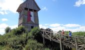 Tour Zu Fuß Giekau - Streetzer Berge - Photo 3