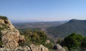 Tour Wandern Bagnols-en-Forêt - le caste diaou - Photo 2