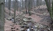 Trail Walking Spa - la havette . berinzenne . thier des rexhons . source geronstere . source barisart .  chapelle de la Roche . la havette  - Photo 12