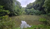 Randonnée Marche Beekdaelen - Schimmert  - Photo 15