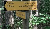 Trail Walking Boussan - Aurignac S. Botanique  - Photo 6