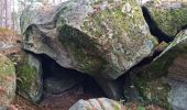 Excursión Senderismo Fontainebleau - Fontainebleau - Sentier des carriers - Photo 2