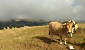 Trail Walking Saint-Chély-d'Aubrac - Boucle PR5 entre Saint Chély d'Aubrac et Aubrac - Photo 1