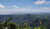 Tour Wandern Le Lorrain - Boucle Morne Jacob - Photo 14