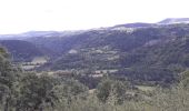 Tocht Elektrische fiets Le Puy-en-Velay - stevenson2 - Photo 2