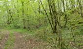 Trail Walking Bunzac - La randonnée de l'ail des ours de Bunzac. - Photo 2