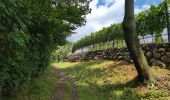 Trail Walking Brixen - Bressanone - Brixen - Archeopfad - Photo 6