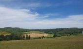 Tour Wandern Bastnach - rando lutrebois 2-06-2022 - Photo 5